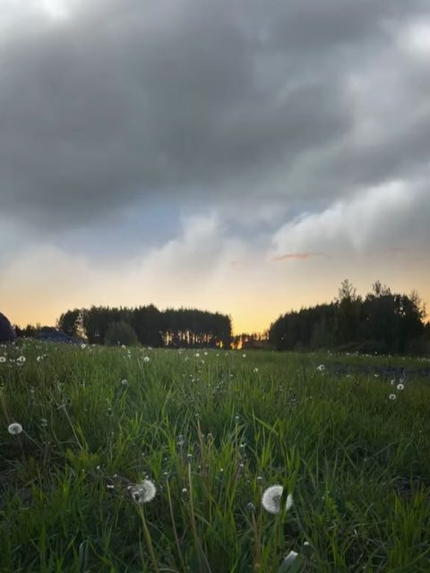 Sometimes electronic music doesn’t need to be about escaping reality.
Sometimes it can be about facing it.
Tomorrow I’m releasing Tranquil, the second chapter of my upcoming album.
It’s a song about nature, humanity, equality, and the belief that we’re strongest when we stand together.
I hope it makes you dance. I hope it makes you think. Most of all, I hope it stays with you.
See you tomorrow. 🌿